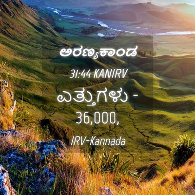 Picture 04 - ಅರಣ್ಯಕಾಂಡ 31:44 KANIRV - ಎತ್ತುಗಳು - - Bible Verse Picture