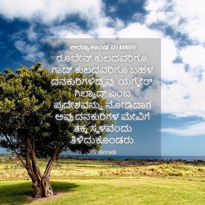 Picture 04 - ಅರಣ್ಯಕಾಂಡ 32:1 KANIRV - ರೂಬೇನ್ ಕುಲದವರಿಗೂ, - Bible Verse Picture