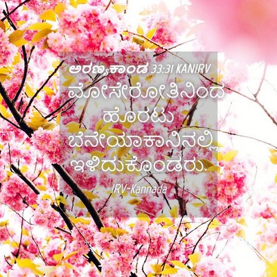 Picture 04 - ಅರಣ್ಯಕಾಂಡ 33:31 KANIRV - ಮೋಸೇರೋತಿನಿಂದ - Bible Verse Picture