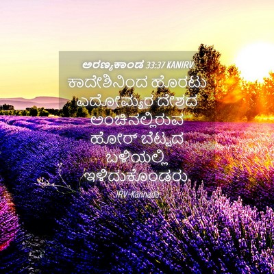 Picture 04 - ಅರಣ್ಯಕಾಂಡ 33:37 KANIRV - ಕಾದೇಶಿನಿಂದ ಹೊರಟು - Bible Verse Picture