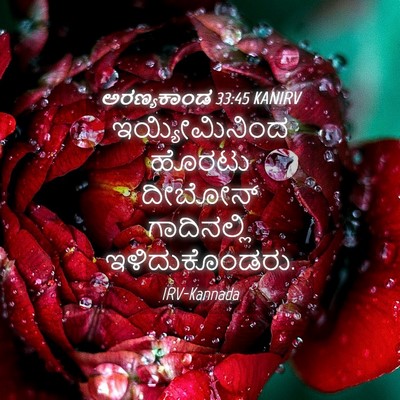 Picture 04 - ಅರಣ್ಯಕಾಂಡ 33:45 KANIRV - ಇಯ್ಯೀಮಿನಿಂದ ಹೊರಟು - Bible Verse Picture