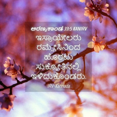 Picture 04 - ಅರಣ್ಯಕಾಂಡ 33:5 KANIRV - ಇಸ್ರಾಯೇಲರು - Bible Verse Picture