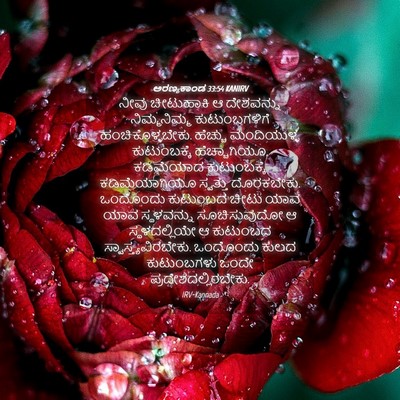Picture 04 - ಅರಣ್ಯಕಾಂಡ 33:54 KANIRV - ನೀವು ಚೀಟುಹಾಕಿ ಆ - Bible Verse Picture