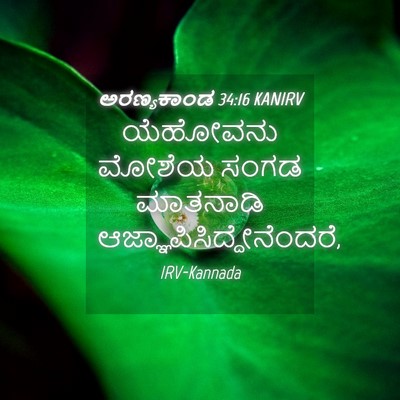 Picture 04 - ಅರಣ್ಯಕಾಂಡ 34:16 KANIRV - ಯೆಹೋವನು ಮೋಶೆಯ - Bible Verse Picture
