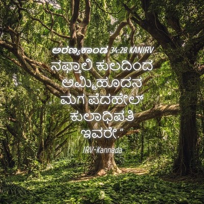 Picture 04 - ಅರಣ್ಯಕಾಂಡ 34:28 KANIRV - ನಫ್ತಾಲಿ ಕುಲದಿಂದ - Bible Verse Picture