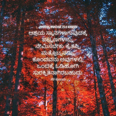 Picture 04 - ಅರಣ್ಯಕಾಂಡ 35:11 KANIRV - ಆಶ್ರಯ - Bible Verse Picture