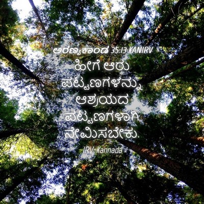 Picture 04 - ಅರಣ್ಯಕಾಂಡ 35:13 KANIRV - ಹೀಗೆ ಆರು - Bible Verse Picture