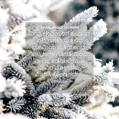 Picture 04 - ಅರಣ್ಯಕಾಂಡ 35:4 KANIRV - ನೀವು ಲೇವಿಯರಿಗೆ - Bible Verse Picture