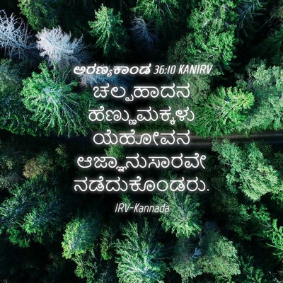 Picture 04 - ಅರಣ್ಯಕಾಂಡ 36:10 KANIRV - ಚಲ್ಪಹಾದನ - Bible Verse Picture