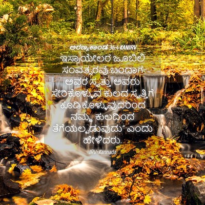 Picture 04 - ಅರಣ್ಯಕಾಂಡ 36:4 KANIRV - ಇಸ್ರಾಯೇಲರ ಜೂಬಿಲಿ - Bible Verse Picture