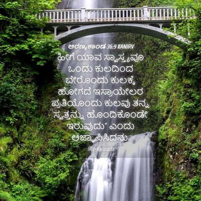 Picture 04 - ಅರಣ್ಯಕಾಂಡ 36:9 KANIRV - ಹೀಗೆ ಯಾವ - Bible Verse Picture