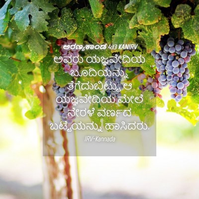 Picture 04 - ಅರಣ್ಯಕಾಂಡ 4:13 KANIRV - ಅವರು ಯಜ್ಞವೇದಿಯ - Bible Verse Picture