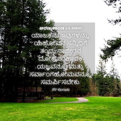 Picture 04 - ಅರಣ್ಯಕಾಂಡ 6:16 KANIRV - ಯಾಜಕನು ಇವುಗಳನ್ನು - Bible Verse Picture