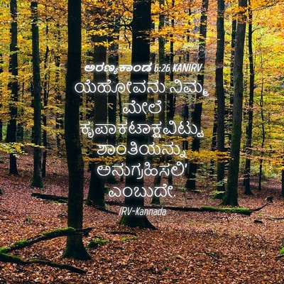 Picture 04 - ಅರಣ್ಯಕಾಂಡ 6:26 KANIRV - ಯೆಹೋವನು ನಿಮ್ಮ - Bible Verse Picture