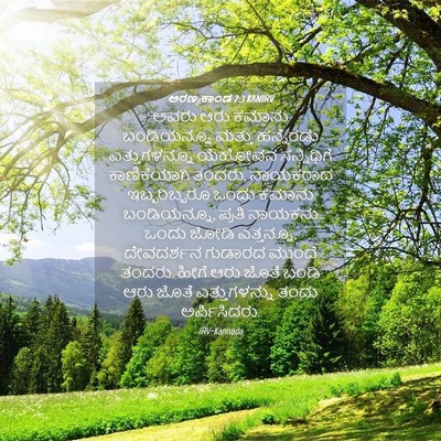 Picture 04 - ಅರಣ್ಯಕಾಂಡ 7:3 KANIRV - ಅವರು ಆರು ಕಮಾನು - Bible Verse Picture