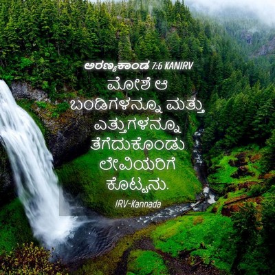 Picture 04 - ಅರಣ್ಯಕಾಂಡ 7:6 KANIRV - ಮೋಶೆ ಆ ಬಂಡಿಗಳನ್ನೂ - Bible Verse Picture