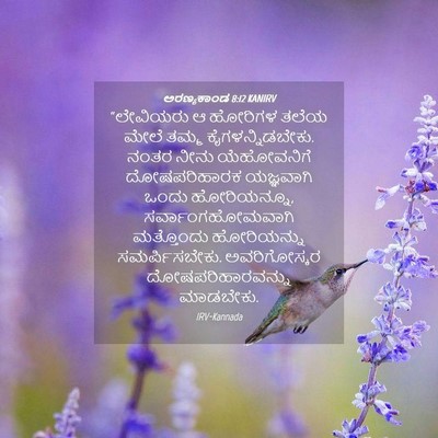 Picture 04 - ಅರಣ್ಯಕಾಂಡ 8:12 KANIRV - “ಲೇವಿಯರು ಆ ಹೋರಿಗಳ - Bible Verse Picture