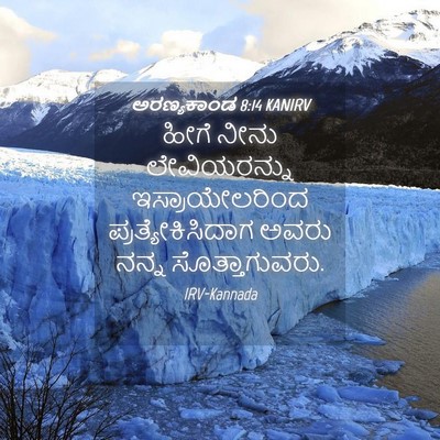 Picture 04 - ಅರಣ್ಯಕಾಂಡ 8:14 KANIRV - ಹೀಗೆ ನೀನು - Bible Verse Picture