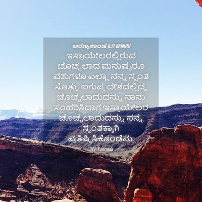 Picture 04 - ಅರಣ್ಯಕಾಂಡ 8:17 KANIRV - ಇಸ್ರಾಯೇಲರಲ್ಲಿರುವ - Bible Verse Picture