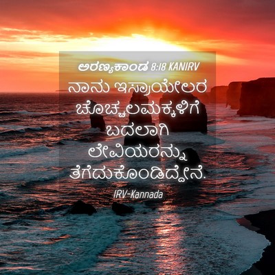 Picture 04 - ಅರಣ್ಯಕಾಂಡ 8:18 KANIRV - ನಾನು ಇಸ್ರಾಯೇಲರ - Bible Verse Picture