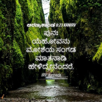 Picture 04 - ಅರಣ್ಯಕಾಂಡ 8:23 KANIRV - ಪುನಃ ಯೆಹೋವನು - Bible Verse Picture