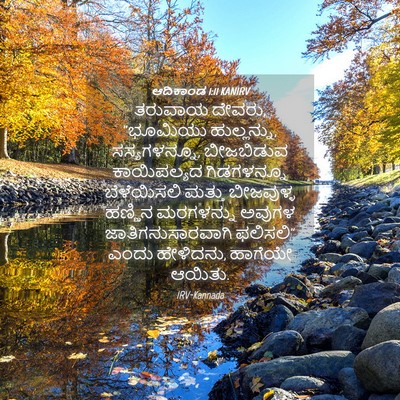 Picture 04 - ಆದಿಕಾಂಡ 1:11 KANIRV - ತರುವಾಯ ದೇವರು, - Bible Verse Picture