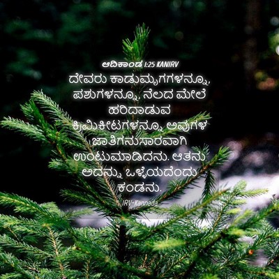 Picture 04 - ಆದಿಕಾಂಡ 1:25 KANIRV - ದೇವರು - Bible Verse Picture