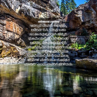 Picture 04 - ಆದಿಕಾಂಡ 1:28 KANIRV - ಇದಲ್ಲದೆ ದೇವರು - Bible Verse Picture