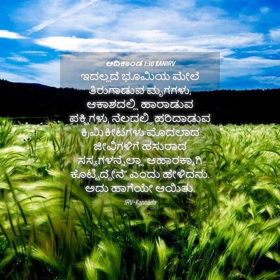 Picture 04 - ಆದಿಕಾಂಡ 1:30 KANIRV - ಇದಲ್ಲದೆ ಭೂಮಿಯ - Bible Verse Picture