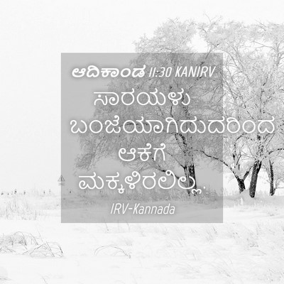 Picture 04 - ಆದಿಕಾಂಡ 11:30 KANIRV - ಸಾರಯಳು - Bible Verse Picture