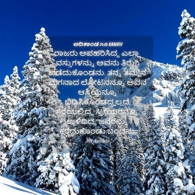 Picture 04 - ಆದಿಕಾಂಡ 14:16 KANIRV - ರಾಜರು ಅಪಹರಿಸಿದ್ದ - Bible Verse Picture