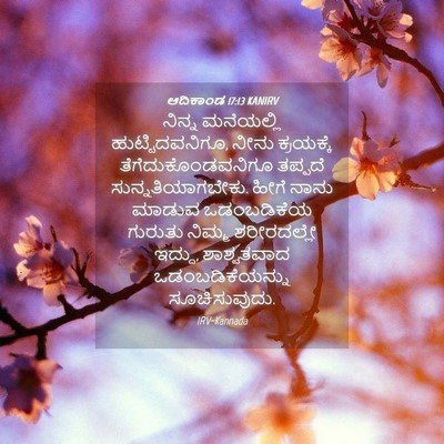 Picture 04 - ಆದಿಕಾಂಡ 17:13 KANIRV - ನಿನ್ನ ಮನೆಯಲ್ಲಿ - Bible Verse Picture