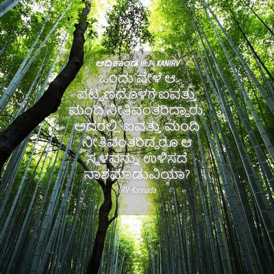 Picture 04 - ಆದಿಕಾಂಡ 18:24 KANIRV - ಒಂದು ವೇಳೆ ಆ - Bible Verse Picture
