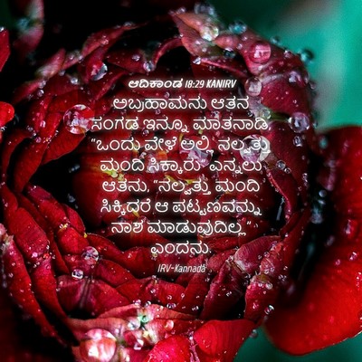 Picture 04 - ಆದಿಕಾಂಡ 18:29 KANIRV - ಅಬ್ರಹಾಮನು ಆತನ - Bible Verse Picture
