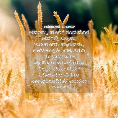 Picture 04 - ಆದಿಕಾಂಡ 19:17 KANIRV - ಅವರನ್ನು ಹೊರಗೆ ತಂದ - Bible Verse Picture