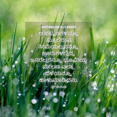 Picture 04 - ಆದಿಕಾಂಡ 19:25 KANIRV - ಆ ಪಟ್ಟಣಗಳನ್ನೂ - Bible Verse Picture