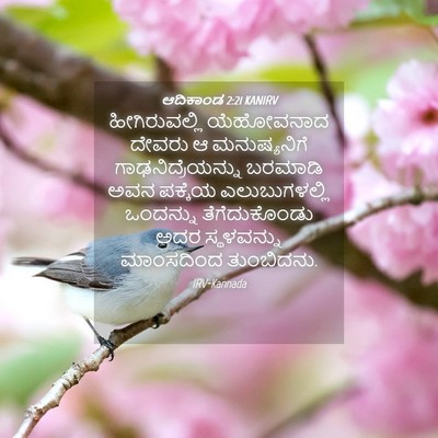Picture 04 - ಆದಿಕಾಂಡ 2:21 KANIRV - ಹೀಗಿರುವಲ್ಲಿ - Bible Verse Picture