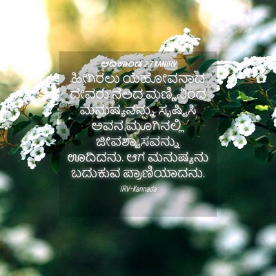 Picture 04 - ಆದಿಕಾಂಡ 2:7 KANIRV - ಹೀಗಿರಲು ಯೆಹೋವನಾದ - Bible Verse Picture