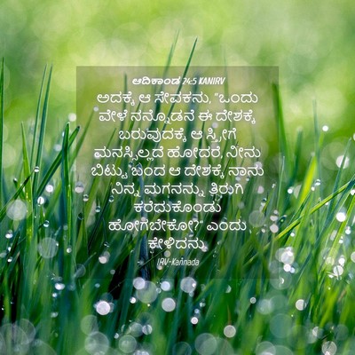 Picture 04 - ಆದಿಕಾಂಡ 24:5 KANIRV - ಅದಕ್ಕೆ ಆ ಸೇವಕನು, - Bible Verse Picture