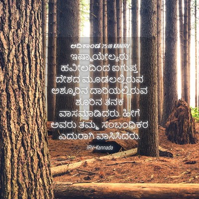 Picture 04 - ಆದಿಕಾಂಡ 25:18 KANIRV - ಇಷ್ಮಾಯೇಲ್ಯರು - Bible Verse Picture