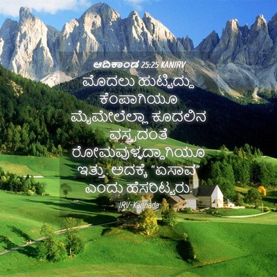Picture 04 - ಆದಿಕಾಂಡ 25:25 KANIRV - ಮೊದಲು ಹುಟ್ಟಿದ್ದು - Bible Verse Picture