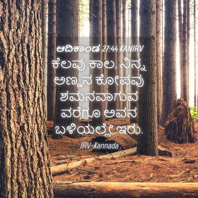 Picture 04 - ಆದಿಕಾಂಡ 27:44 KANIRV - ಕೆಲವು ಕಾಲ, ನಿನ್ನ - Bible Verse Picture