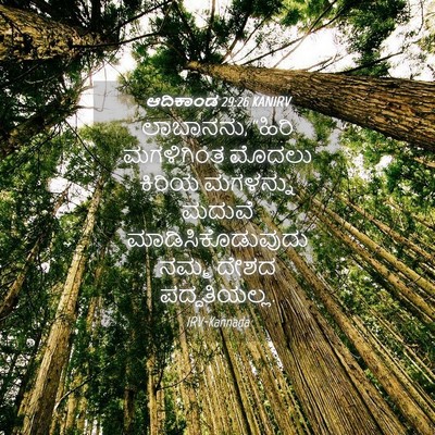 Picture 04 - ಆದಿಕಾಂಡ 29:26 KANIRV - ಲಾಬಾನನು, “ಹಿರಿ - Bible Verse Picture