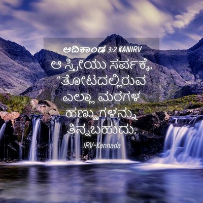 Picture 04 - ಆದಿಕಾಂಡ 3:2 KANIRV - ಆ ಸ್ತ್ರೀಯು - Bible Verse Picture