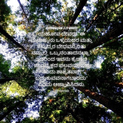 Picture 04 - ಆದಿಕಾಂಡ 3:22 KANIRV - ಯೆಹೋವ ದೇವರು “ಈ - Bible Verse Picture