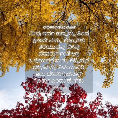 Picture 04 - ಆದಿಕಾಂಡ 3:5 KANIRV - ನೀವು ಇದರ ಹಣ್ಣನ್ನು - Bible Verse Picture