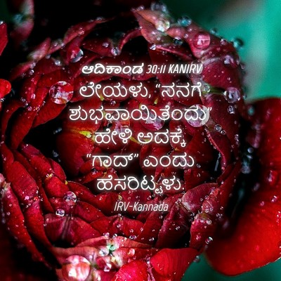 Picture 04 - ಆದಿಕಾಂಡ 30:11 KANIRV - ಲೇಯಳು, “ನನಗೆ - Bible Verse Picture