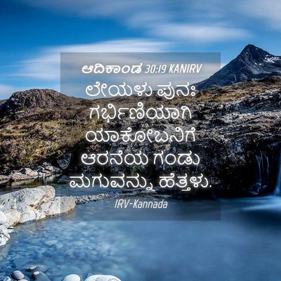 Picture 04 - ಆದಿಕಾಂಡ 30:19 KANIRV - ಲೇಯಳು ಪುನಃ - Bible Verse Picture