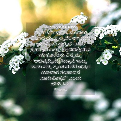 Picture 04 - ಆದಿಕಾಂಡ 30:30 KANIRV - ನಾನು ಬರುವುದಕ್ಕೆ - Bible Verse Picture