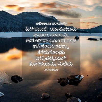 Picture 04 - ಆದಿಕಾಂಡ 30:37 KANIRV - ಹೀಗಿರುವಲ್ಲಿ - Bible Verse Picture